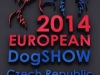 european-dog-sow-018