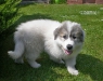 Bella-006